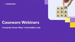 Companies House Filing  Intermediate Webinar  5th September 2024 [upl. by Anilehs999]