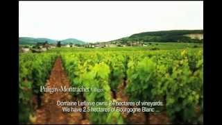 Domaine Leflaive A Path to Follow [upl. by Trilbee]