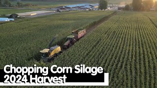 Chopping Corn Silage 2024 Harvest [upl. by Artemisia144]