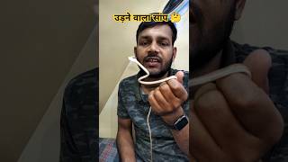 Common Bronzeback Snake Rescue in Bihar Patna 🥰shorts youtubeshorts [upl. by Anamuj]