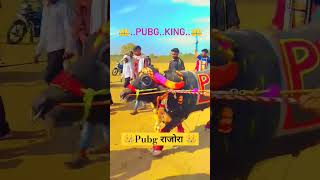 💯पब्जी राजोरा वाले हेले कि शानदार एन्ट्री👑pubg rajora hele ki takkar👑hellokitakkar [upl. by Nahoj]