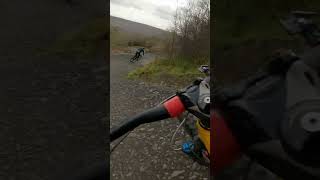 BERM BABY BERM MTB💥Bikepark Wales BPW mtb nukeproofscout downhill bikeparkwales mtblife [upl. by Auhs]