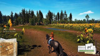 Windstorm Start of a Great Friendship  Remastered Gameplay PC UHD 4K60FPS [upl. by Yrrac]