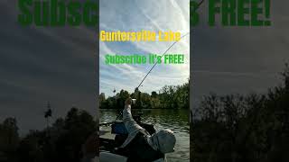 Guntersville Lake FFS jig head minnow success k kistlerrods gopro fishingvideo [upl. by Dalpe]