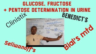 Glucosuria Causes  principles of Clinistix amp Benedicts  Seliwanoffs test  Bials test [upl. by Herzel]