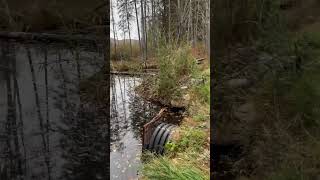 New storm drain exciting scary stormwaterdrain exercise abandoned stormdrain explore funny [upl. by Licha187]