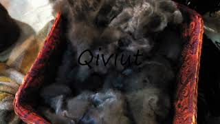 How to Pronounce Qiviut [upl. by Andreana]