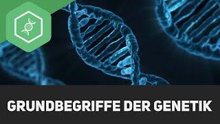 Grundbegriffe der Genetik [upl. by Nageet]