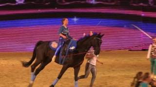 Tagestrailer BarockpferdeTag EQUITANA 2017 SONNTAG 26 Maerz 2017 [upl. by Zackariah]