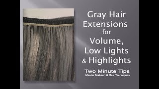 Gray Extensions for Volume Low Lights amp Highlights  E [upl. by Miarhpe]