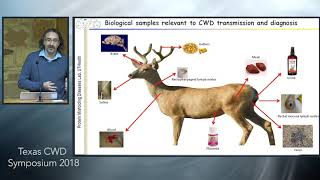 Texas CWD Symposium Presymptomatic prion detection [upl. by Nedrah]