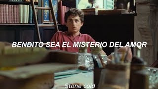 Elio amp Oliver Mystery of love  Sufjan Stevens Español Call me by your name [upl. by Loomis715]