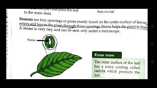 GREEN PLANTSCLASS 4ICSELAKHMIR SINGH SCIENCE BOOKPART 1 [upl. by Llenaj]