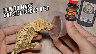 How to Make Crested Gecko Diet What WE Feed [upl. by Lovel]