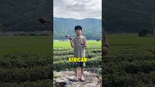 Kid Mastering Asalato While Standing on a Stump [upl. by Silvan]