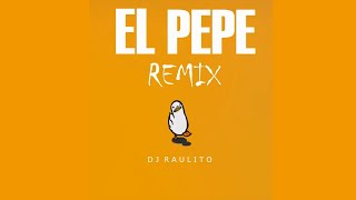 EL PEPE REMIX Ete Sech  DJ Raulito [upl. by Rica204]