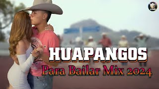 Mix de HUAPANGOS PARA BAILAR ZAPATEADO  Mix de Huapangos  Popurri De Huapangos Mix [upl. by Waring633]