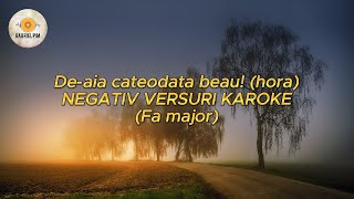 Deaia cateodata beau NEGATIV VERSURI KARAOKE Fa major [upl. by Lerrehs299]