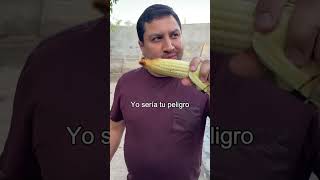 Si fueras un elote 🌽❤️ julionalvarez lospasosdejulion julionalvarezysunorteñobanda [upl. by Anirroc]