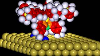 Animation of molecular motor [upl. by Nicolina481]