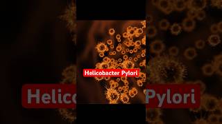 Do You Have Helicobacter Pylori  Symptoms Of Hpylori gastritis helicobacterpylori shorts [upl. by Igiul]