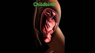 Mechanisms of childbirth Geburt pregnancy childbirth embarazo geburt gravidez [upl. by Angele]