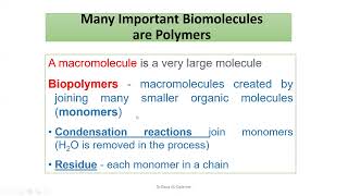 Polymers and macromolecules [upl. by Ennovehc]