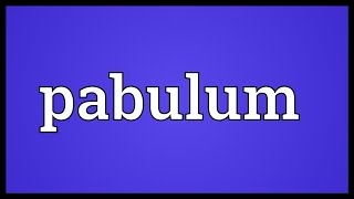 Pabulum Meaning [upl. by Ahtnahc]