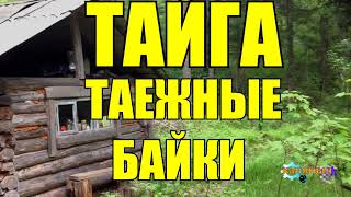 ТАЕЖНЫЕ БАЙКИ  РАССКАЗЫ ОХОТНИКА  ТАЙГА 2 из 2 [upl. by Earl]