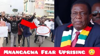 Mnangagwa Fear War Veterans Uprising Zvaendwa 😳 [upl. by Neidhardt723]