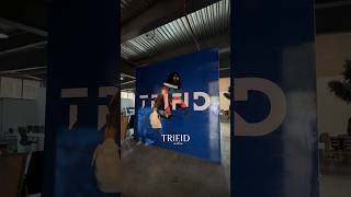 Trifid Media  Marketing Agency in Dubai   Digital Marketing [upl. by Riggins3]