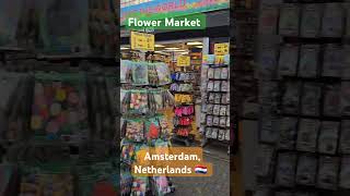 Flower Market tour Bloemenmarkt Amsterdam Netherlands 🇳🇱 travel flowers garden Holland [upl. by Saref954]