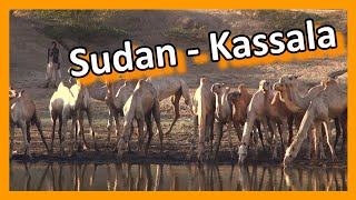 Sudan  Kassala [upl. by Hildebrandt199]