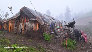 Surviving Life in the Nepali Mountains During the Rainy Season  All Season Compilation Video [upl. by Damick973]