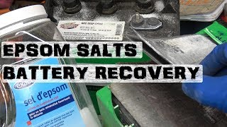 Recover Lead Acid Batteries  Desulfate using Epsom Salts [upl. by Fraase]