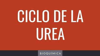 🛑CICLO DE LA UREA  EXPLICACIÓN FÁCIL FUNCIÓN y ENFERMEDADES por def enzimática🤕  AÁ [upl. by Whiteley]