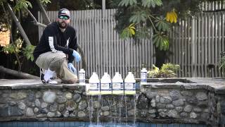 How to Remove Phosphates amp Clarify Your Pool Water [upl. by Tteragram45]