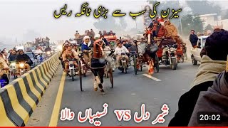 Naseeba Wala vs Shire Dil Horse Race In Mardan Rod Win  Tufan Gurop Pindi Naseeba Wala [upl. by Eirised]