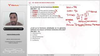 Endocrinología BANCO VILLAMEDIC 2024 ENAM [upl. by Corie643]