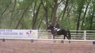 Matt Trot Para equestrian rider at Spirit Open Equestrian Program [upl. by Ttoile]