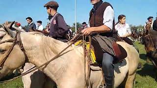 Cabalgando a quotLa Fiesta del Talar  2024quot desde la rotonda de Madariaga [upl. by Nangem]