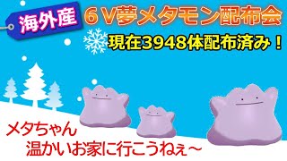 44【ポケモンソードシールド】海外産 夢6Vメタモン毎日大量配布！ 剣盾 初見さん大歓迎 生放送 [upl. by Jerry]