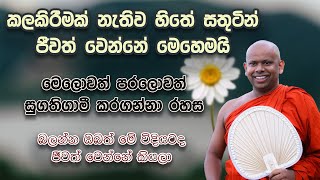 හිතේ සැනසීමෙන් ජීවත් වෙන හැටි  Ven Welimada Saddaseela Thero  පූජ්‍ය වැලිමඩ සද්ධාසීල හිමි [upl. by Alius]