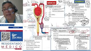 REPASO I  NEFROLOGÍA [upl. by Asiralc487]