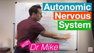 Autonomic Nervous System [upl. by Nork]