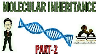 Molecular basis of inheritance simplified part2 for NEET AIIMS JIPMER etc Biology exams [upl. by Neeoma]