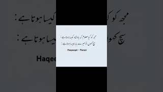 Baba 😍 poetry haqeeqat [upl. by Atalee]