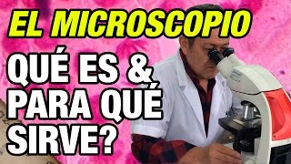 Qué es el microscopio y para qué sirve [upl. by Petronille]