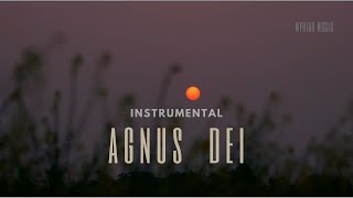 Agnus Dei  Instrumental [upl. by Cavallaro]