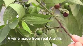 Aratilis Wine Commercial [upl. by Othilia]